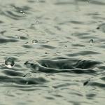 Nagranie: Wody opadowe odprowadzane do ziemi, 23.04.2024 r.