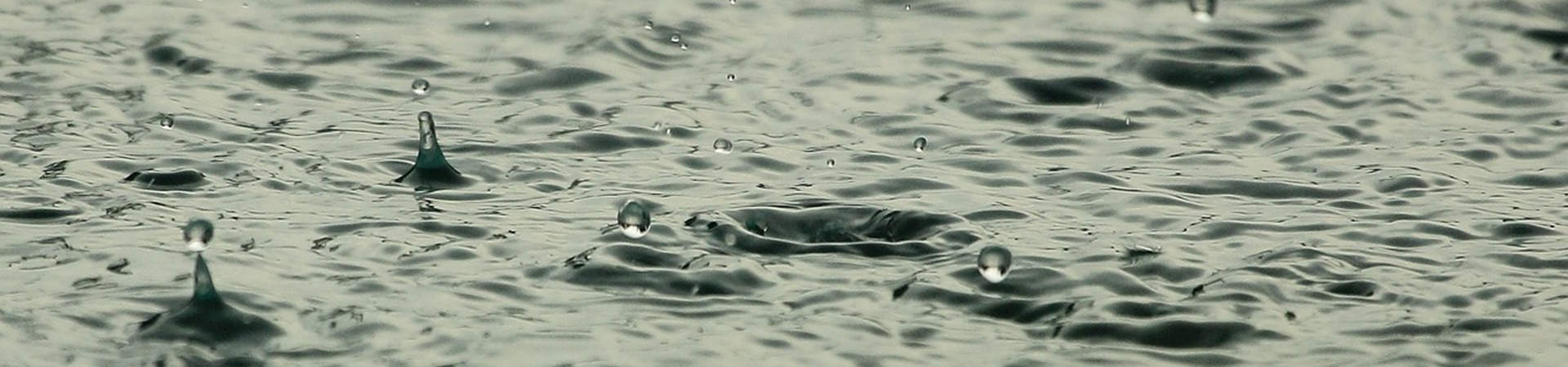 Webinarium: Wody opadowe odprowadzane do ziemi, 23.04.2024 r.